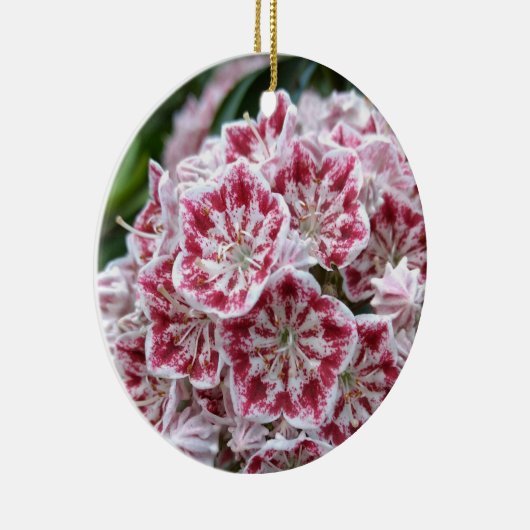 Keramik mit Berglaubel Ornament (Rechts)