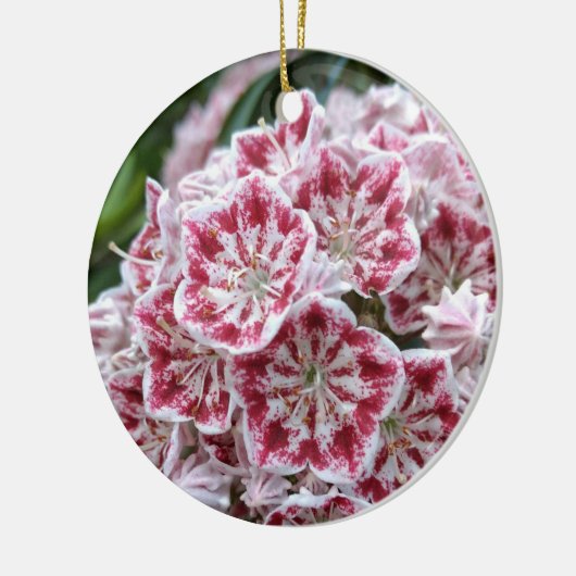 Keramik mit Berglaubel Ornament (Links)