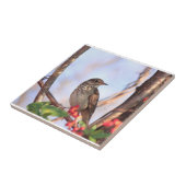 Keramik mit Bild des Einsiedlerdrossel Fliese (Seite)