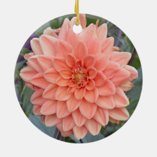 Keramik mit Dahlien Keramik Ornament (Hinten)