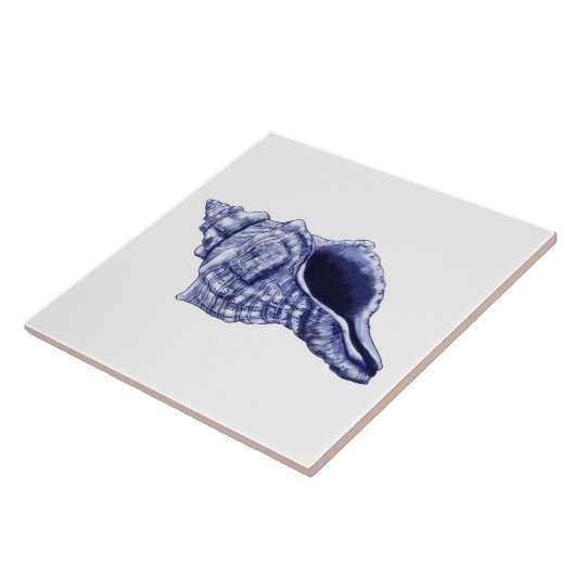 Keramik mit Muschel aus blauem und weißem Gran Fliese (Seite)