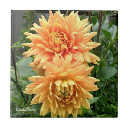 Keramik mit orangefarbenen Dahlien mit Regentropfe Fliese