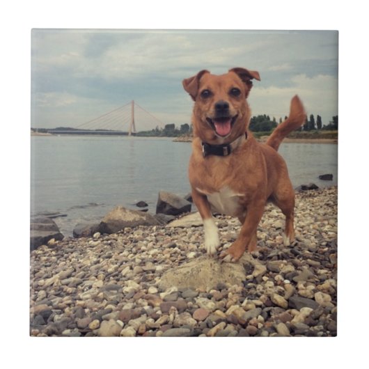 Keramik mit quadratischen Bildern Fliese (Vorderseite)