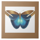 Keramik mit Schmetterling Fliese (Vorderseite)