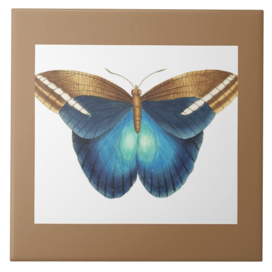 Keramik mit Schmetterling Fliese (Vorderseite)