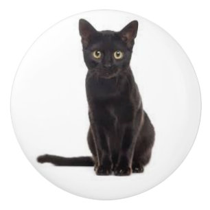 Keramik mit schwarzer Katze Keramikknauf