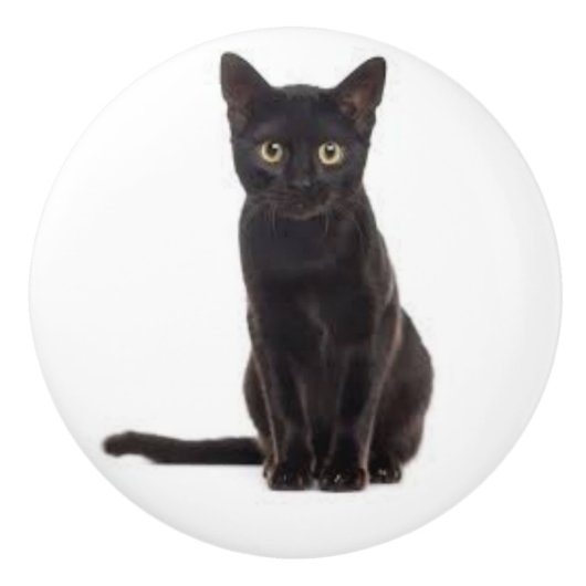 Keramik mit schwarzer Katze Keramikknauf (Vorderseite)