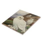 Keramik mit Vintagen Eule Fliese (Seite)