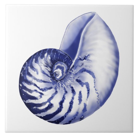 Keramik Nautilus-Muschel Fliese (Vorderseite)