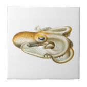 Keramik "OCTOPUS"-MEERESWELT Fliese (Vorderseite)