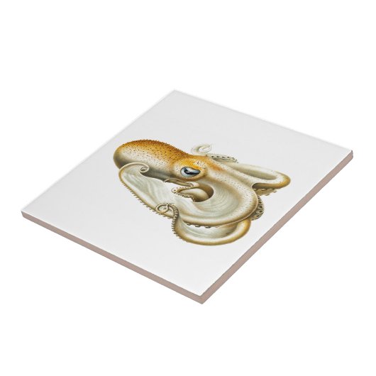 Keramik "OCTOPUS"-MEERESWELT Fliese (Seite)