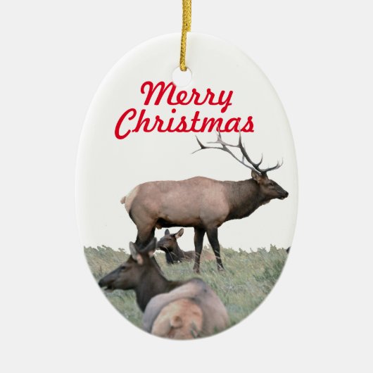 Keramik Ornament (Vorne)