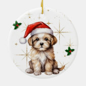 Keramik Ornament (Hinten)