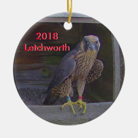 Keramik Ornament Letchworth (Vorne)