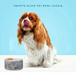 Keramik Pet Bowl Napf