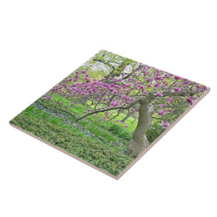 KERAMIK/PINKTULIP/MAGNOLIA BAUM FLIESE