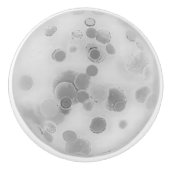 KERAMIK PULL ART DESIGN STIL KERAMIKKNAUF (Vorderseite)