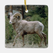 Keramik Rocky Mountain Big Horn Keramikornament (Vorderseite)