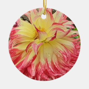 Keramik Rosa und Gelb Dahlia Ornament