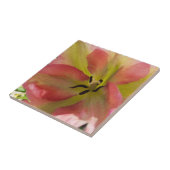 Keramik Rosa und Gelb Fliese (Seite)