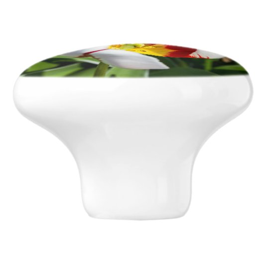 Keramik-Rumpf Keramikknauf (Seitenansicht)