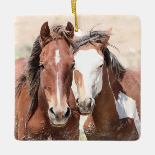 Keramik Sand Wash Becken Wilde Pferde Keramikornament (Vorderseite)