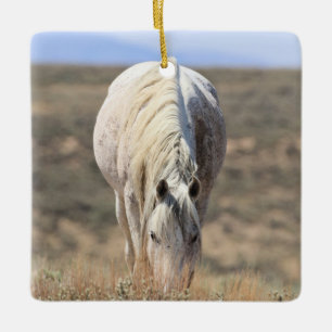 Keramik Sand Wash Becken Wilde Pferde Keramikornament