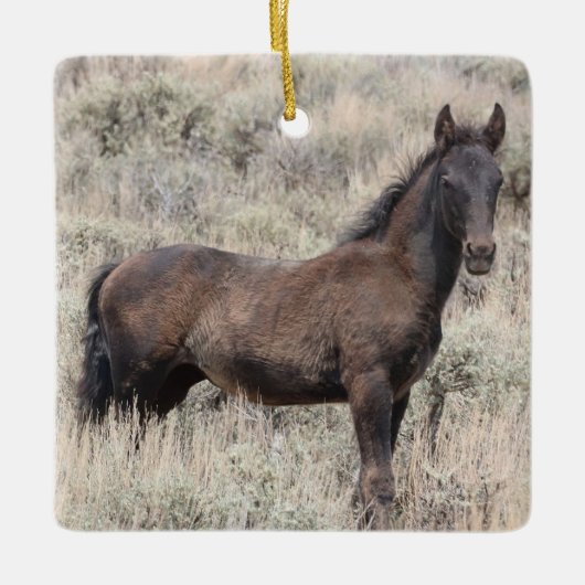 Keramik Sand Wash Becken Wilde Pferde Keramikornament (Vorderseite)