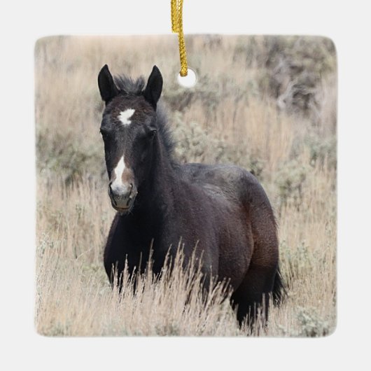 Keramik Sand Wash Becken Wilde Pferde Keramikornament (Vorderseite)