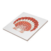 Keramik "SCALLOP SEASHELL" MEERESWELT Fliese (Seite)