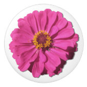 Keramik Schublade/Türhülle - Magenta Zinnia Keramikknauf (Vorderseite)