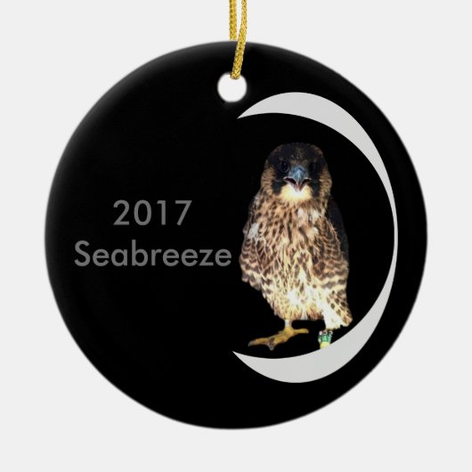 Keramik Seabreeze 2017 Ornament (Vorne)