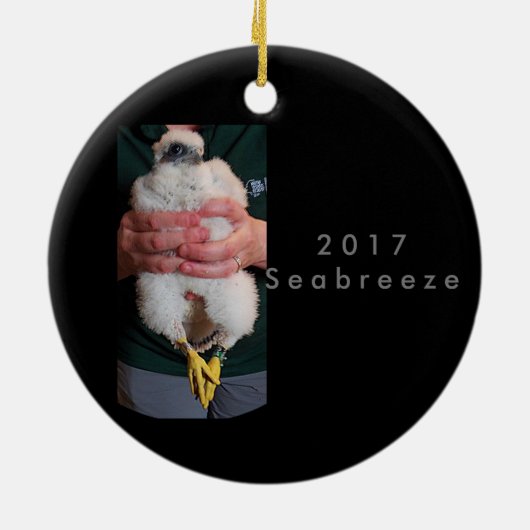 Keramik Seabreeze 2017 Ornament (Hinten)