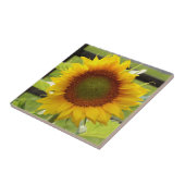 Keramik-Sonnenblume-Fliese Fliese (Seite)
