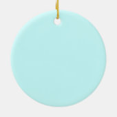 Keramik South Carolina Ornament (Hinten)