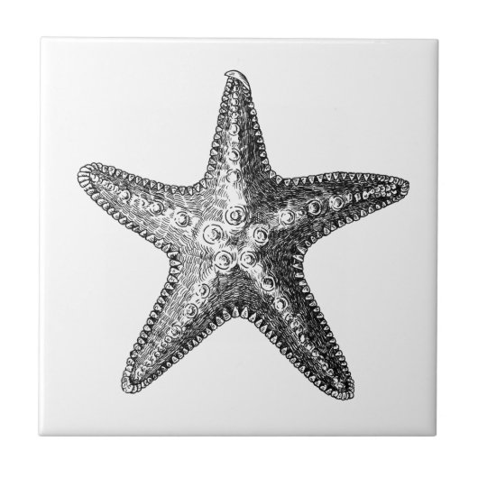 Keramik "STARFISH"-MEERESWELT Fliese (Vorderseite)