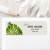 KERAMIK STONE GREEN MONSTERA LEAF FOLIAGE PREIS (Insitu)