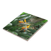 Keramik Tile-Bird des Paradieses Fliese (Seite)