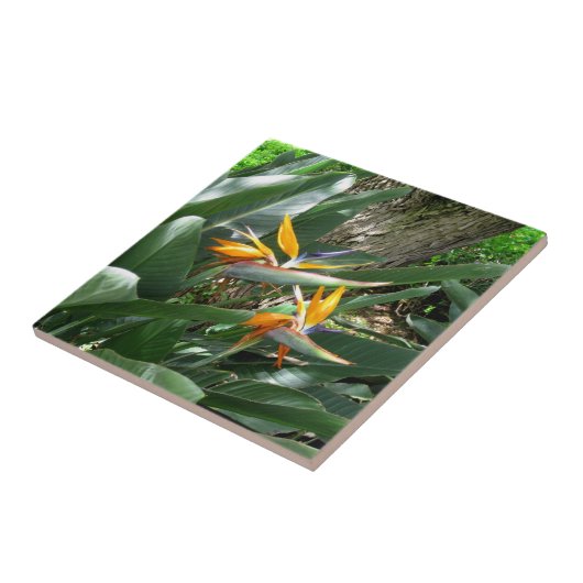 Keramik Tile-Bird des Paradieses Fliese (Seite)