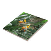 Keramik Tile-Bird des Paradieses Fliese (Seite)