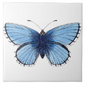 Keramik Tile - Blauer Schmetterling Fliese (Vorderseite)