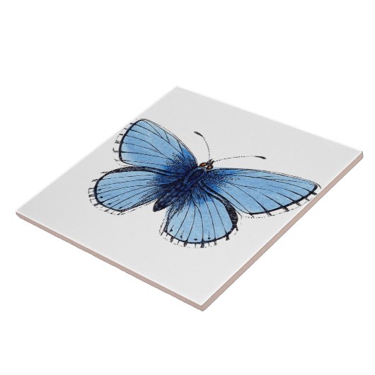 Keramik Tile - Blauer Schmetterling Fliese (Seite)