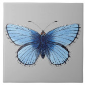 Keramik Tile - Blauer Schmetterling Grau Fliese (Vorderseite)