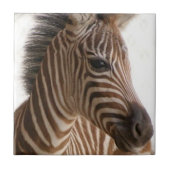 Keramik Tile Brown Zebra Stripe Fliese (Vorderseite)