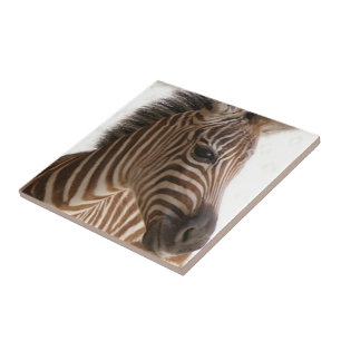 Keramik Tile Brown Zebra Stripe Fliese