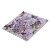 Keramik Tile - Candy Striped Phlox Fliese (Seite)