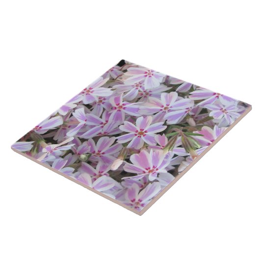 Keramik Tile - Candy Striped Phlox Fliese (Seite)