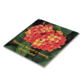 Keramik-Tile der blühenden Ixora Fliese (Seite)