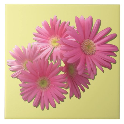 Keramik Tile - Dunkelrosa Gerbera Daisies Fliese (Vorderseite)