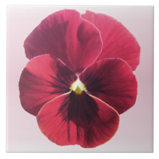 Keramik Tile - Dunkelrote Pansy Fliese (Vorderseite)